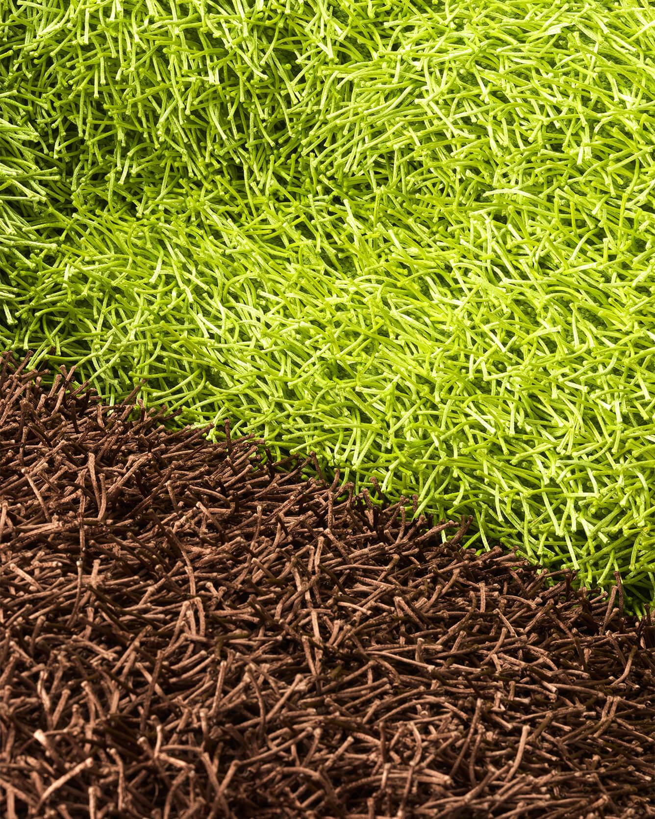 La Fiorita - Image 2